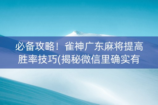 必备攻略！雀神广东麻将提高胜率技巧(揭秘微信里确实有猫腻)