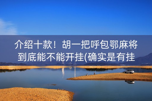 介绍十款！胡一把呼包鄂麻将到底能不能开挂(确实是有挂)