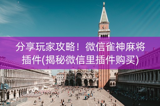 分享玩家攻略！微信雀神麻将插件(揭秘微信里插件购买)