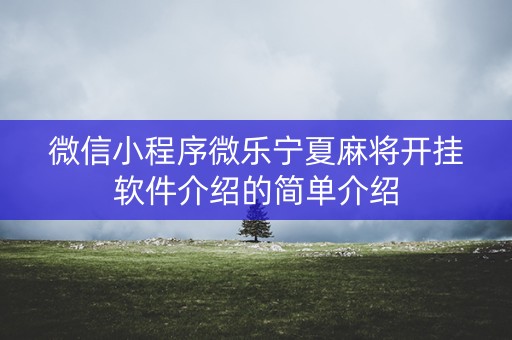 微信小程序微乐宁夏麻将开挂软件介绍的简单介绍