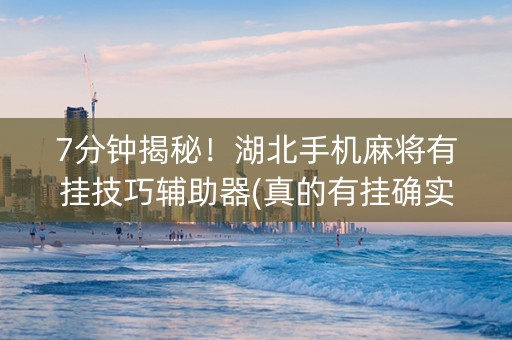 7分钟揭秘！湖北手机麻将有挂技巧辅助器(真的有挂确实有挂)