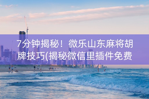 7分钟揭秘！微乐山东麻将胡牌技巧(揭秘微信里插件免费)