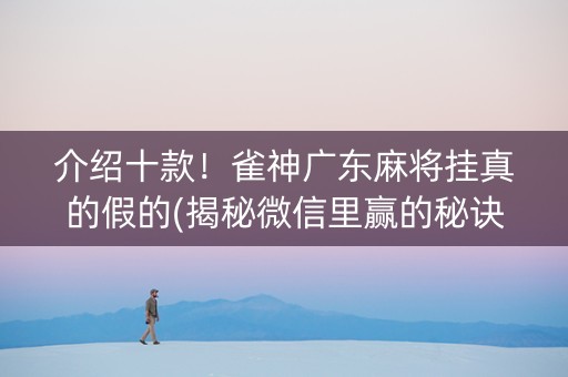 介绍十款！雀神广东麻将挂真的假的(揭秘微信里赢的秘诀)
