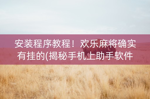 安装程序教程！欢乐麻将确实有挂的(揭秘手机上助手软件)