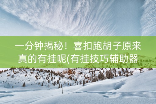一分钟揭秘！喜扣跑胡子原来真的有挂呢(有挂技巧辅助器)