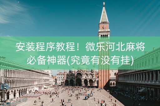 安装程序教程！微乐河北麻将必备神器(究竟有没有挂)