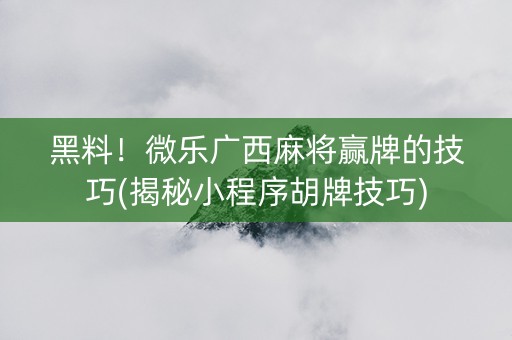 黑料！微乐广西麻将赢牌的技巧(揭秘小程序胡牌技巧)