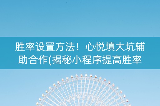 胜率设置方法！心悦填大坑辅助合作(揭秘小程序提高胜率)