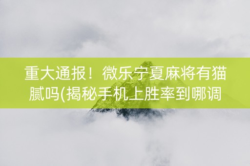 重大通报！微乐宁夏麻将有猫腻吗(揭秘手机上胜率到哪调)