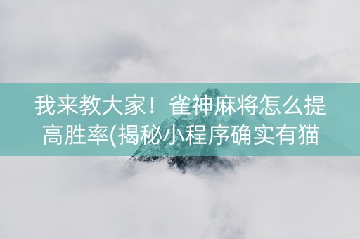 我来教大家！雀神麻将怎么提高胜率(揭秘小程序确实有猫腻)