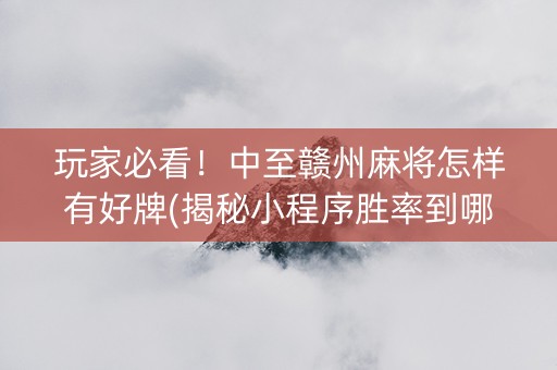 玩家必看！中至赣州麻将怎样有好牌(揭秘小程序胜率到哪调)