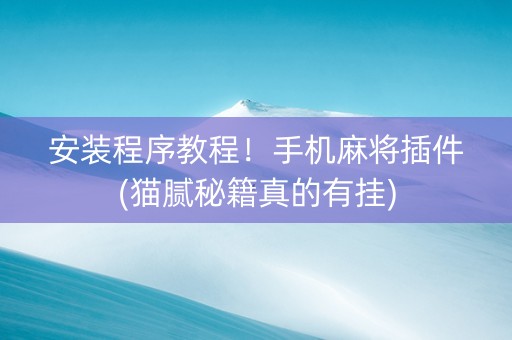 安装程序教程！手机麻将插件(猫腻秘籍真的有挂)