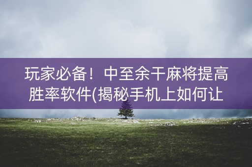 玩家必备！中至余干麻将提高胜率软件(揭秘手机上如何让牌变好)
