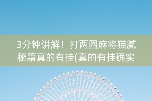 3分钟讲解！打两圈麻将猫腻秘籍真的有挂(真的有挂确实有挂)