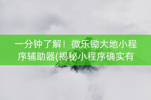 一分钟了解！微乐锄大地小程序辅助器(揭秘小程序确实有猫腻)