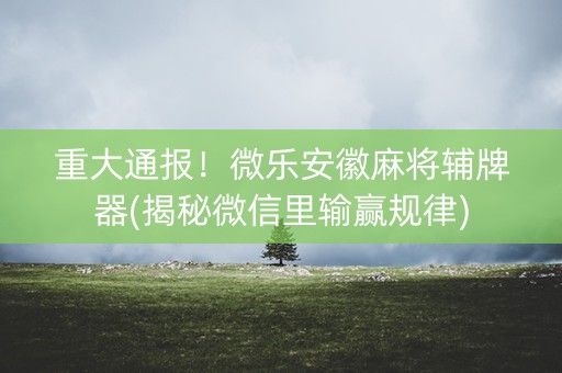 重大通报！微乐安徽麻将辅牌器(揭秘微信里输赢规律)