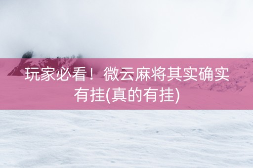 玩家必看！微云麻将其实确实有挂(真的有挂)
