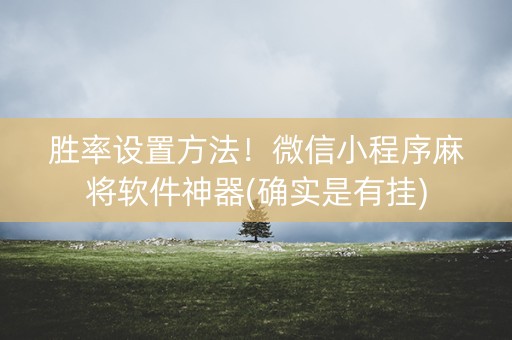 胜率设置方法！微信小程序麻将软件神器(确实是有挂)
