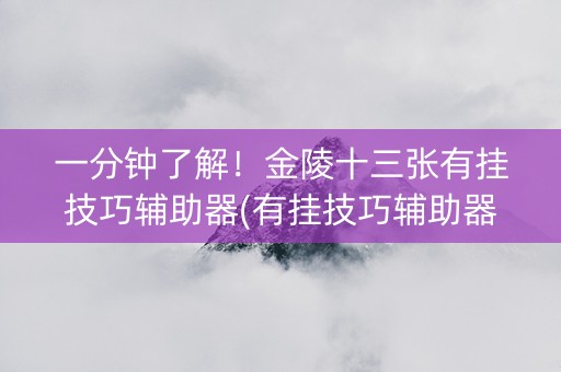 一分钟了解！金陵十三张有挂技巧辅助器(有挂技巧辅助器)