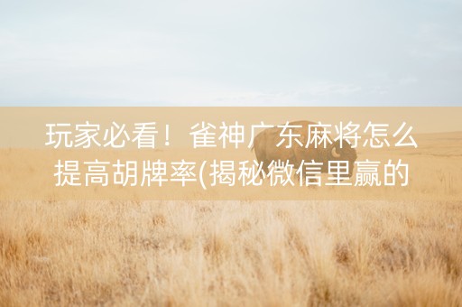玩家必看！雀神广东麻将怎么提高胡牌率(揭秘微信里赢的秘诀)