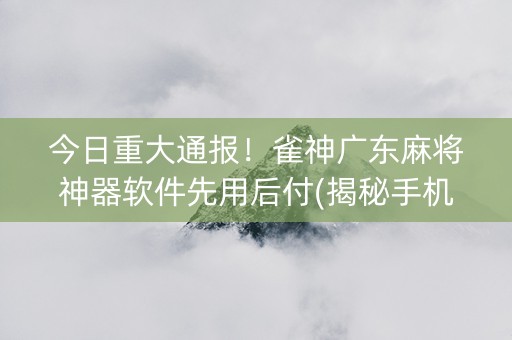 今日重大通报！雀神广东麻将神器软件先用后付(揭秘手机上确实有猫腻)