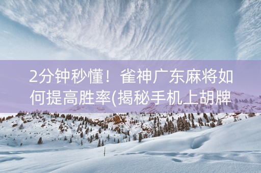2分钟秒懂！雀神广东麻将如何提高胜率(揭秘手机上胡牌神器)
