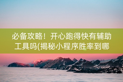 必备攻略！开心跑得快有辅助工具吗(揭秘小程序胜率到哪调)