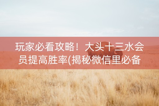 玩家必看攻略！大头十三水会员提高胜率(揭秘微信里必备神器)