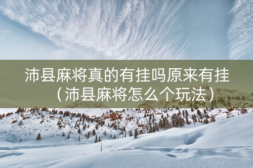 沛县麻将真的有挂吗原来有挂（沛县麻将怎么个玩法）