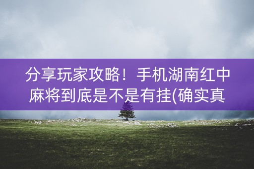 分享玩家攻略！手机湖南红中麻将到底是不是有挂(确实真的有挂)