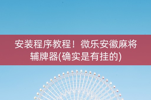安装程序教程！微乐安徽麻将辅牌器(确实是有挂的)