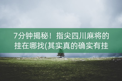 7分钟揭秘！指尖四川麻将的挂在哪找(其实真的确实有挂)