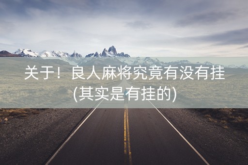 关于！良人麻将究竟有没有挂(其实是有挂的)