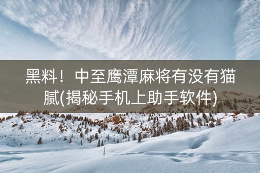 黑料！中至鹰潭麻将有没有猫腻(揭秘手机上助手软件)