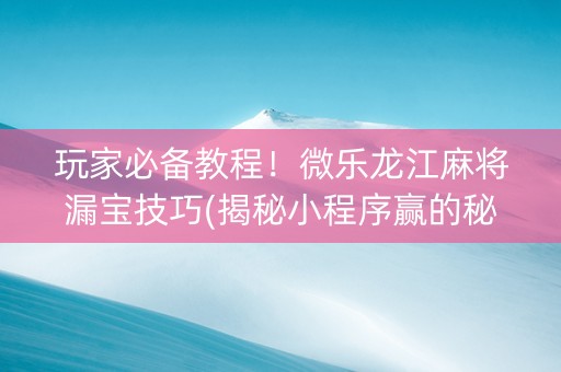 玩家必备教程！微乐龙江麻将漏宝技巧(揭秘小程序赢的秘诀)