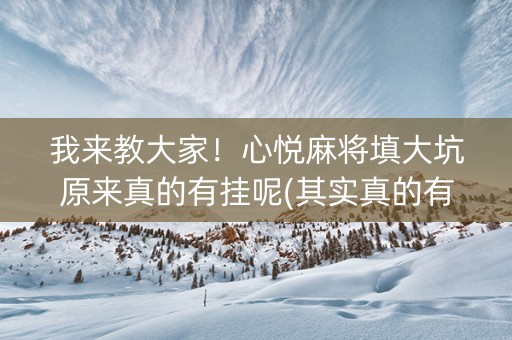 我来教大家！心悦麻将填大坑原来真的有挂呢(其实真的有挂)