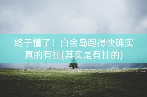 终于懂了！白金岛跑得快确实真的有挂(其实是有挂的)
