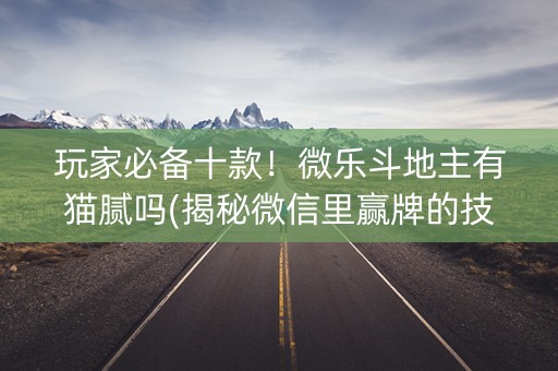 玩家必备十款！微乐斗地主有猫腻吗(揭秘微信里赢牌的技巧)