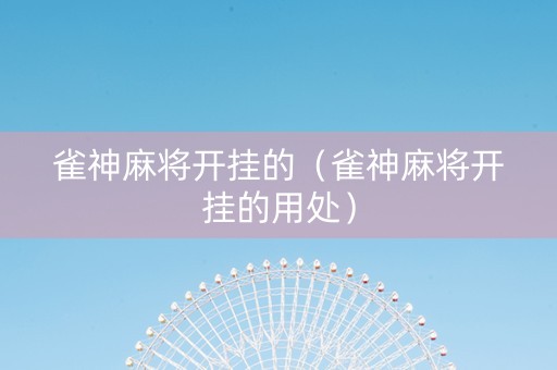 雀神麻将开挂的（雀神麻将开挂的用处）
