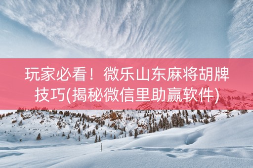 玩家必看！微乐山东麻将胡牌技巧(揭秘微信里助赢软件)
