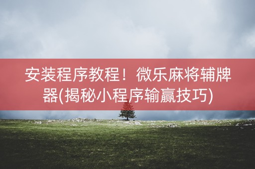 安装程序教程！微乐麻将辅牌器(揭秘小程序输赢技巧)