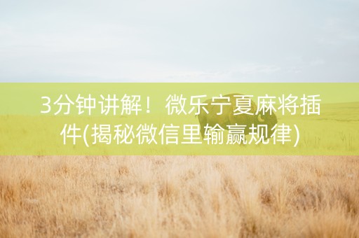 3分钟讲解！微乐宁夏麻将插件(揭秘微信里输赢规律)