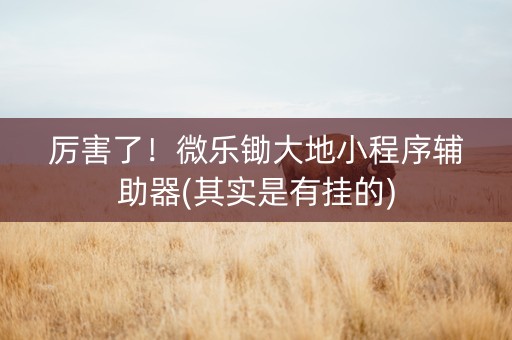 厉害了！微乐锄大地小程序辅助器(其实是有挂的)
