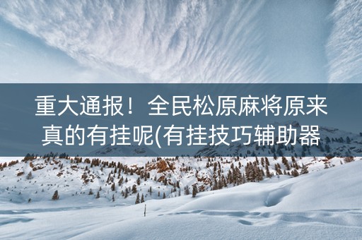 重大通报！全民松原麻将原来真的有挂呢(有挂技巧辅助器)