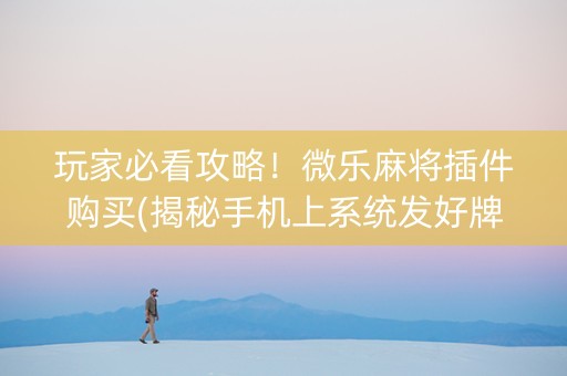 玩家必看攻略！微乐麻将插件购买(揭秘手机上系统发好牌)