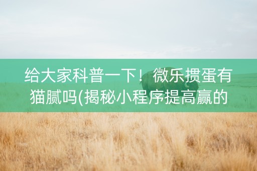给大家科普一下！微乐掼蛋有猫腻吗(揭秘小程序提高赢的概率)
