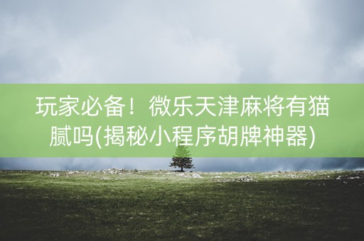 玩家必备！微乐天津麻将有猫腻吗(揭秘小程序胡牌神器)