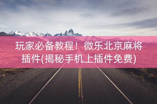 玩家必备教程！微乐北京麻将插件(揭秘手机上插件免费)
