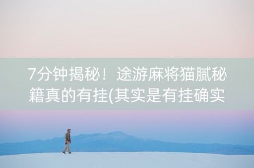 7分钟揭秘！途游麻将猫腻秘籍真的有挂(其实是有挂确实有挂)