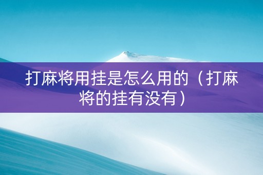 打麻将用挂是怎么用的（打麻将的挂有没有）
